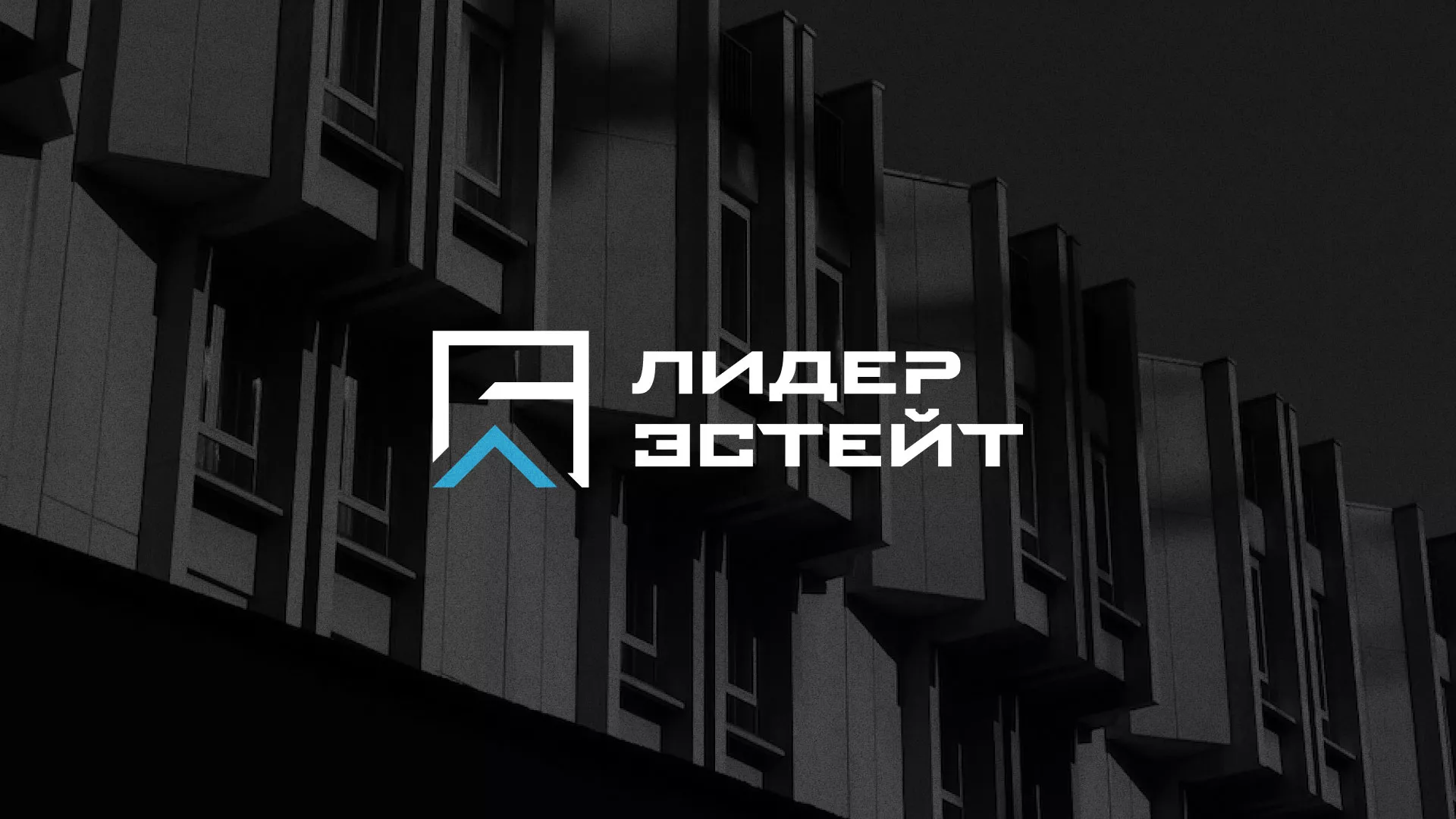Разработка логотипа агентства недвижимости «Лидер Эстейт» в Удомле