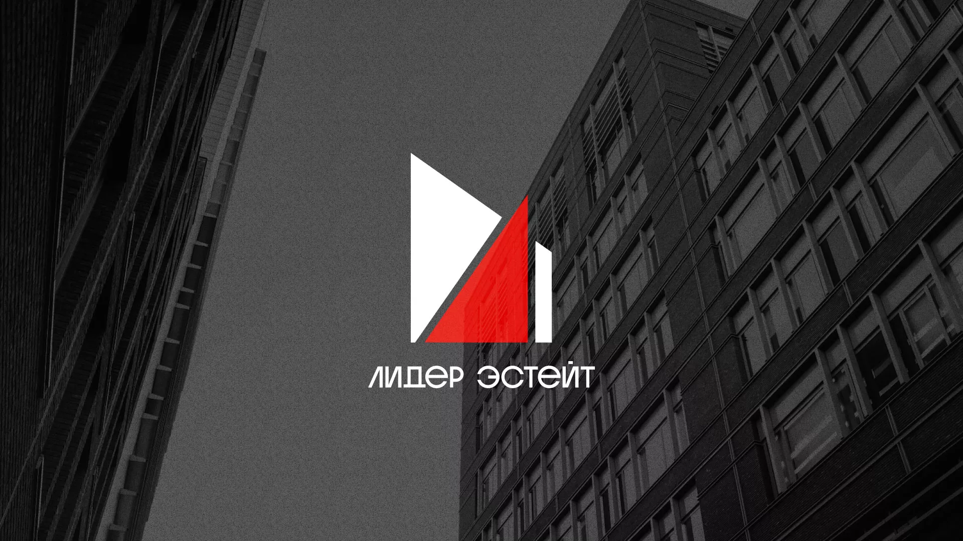 Сделали логотип для агентства недвижимости «Лидер Эстейт» в Удомле